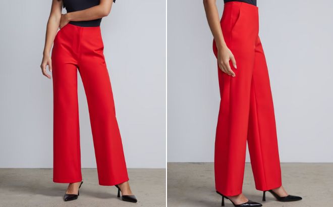 Woman is Wearing a NY and Company High Rise Wide Leg Pants in Red Silk Color