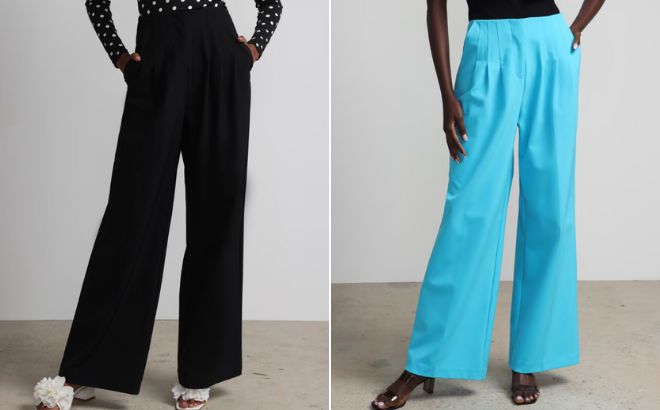 Women are Wearing a NY and Company Pleated Wide Leg Pant Fit To Flatter in Black and Araucana Blue Colors