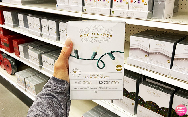 Wondershop 100ct LED Smooth Mini Christmas String Lights