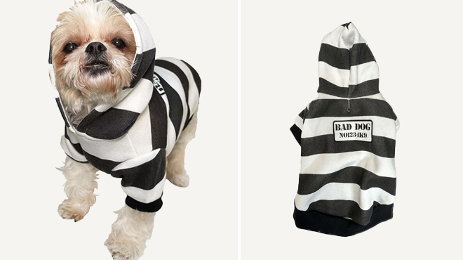 Woof Bad Dog Prisoner Pet Costume