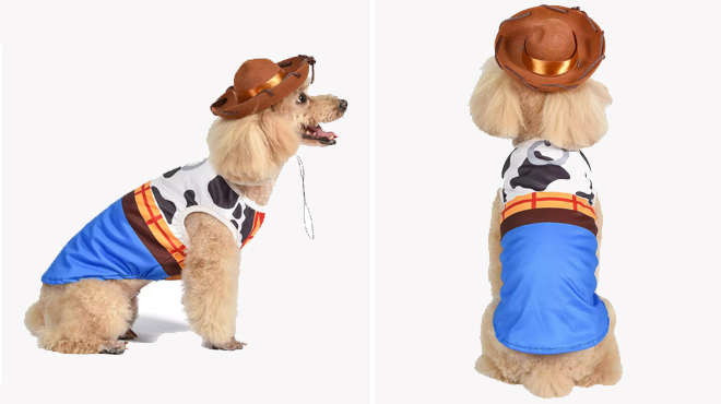 a Dog Wearing a Disney Halloween Toy Story Woody Pet Costume a Dog Wearing a Disney Halloween Toy Story Woody Pet Costume