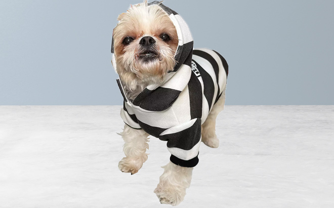 an Image of a Dog Wearing a Woof Bad Dog Prisoner Pet Costume