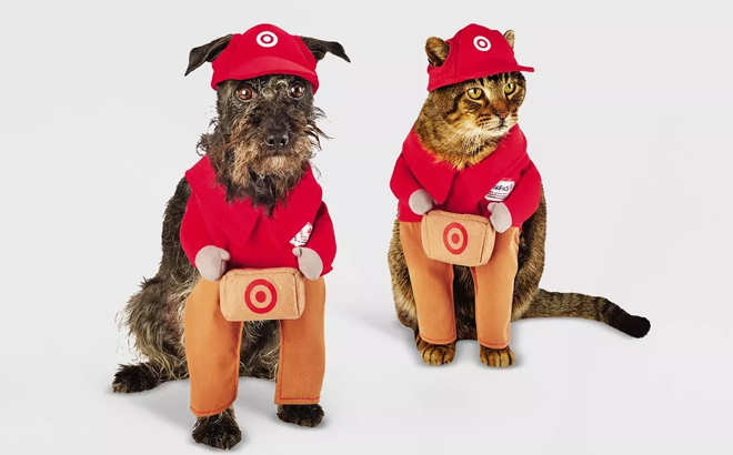 an Image of a Dog and a Cat Wearing a Hyde EEK Target Delivery Halloween Dog and Cat Costume