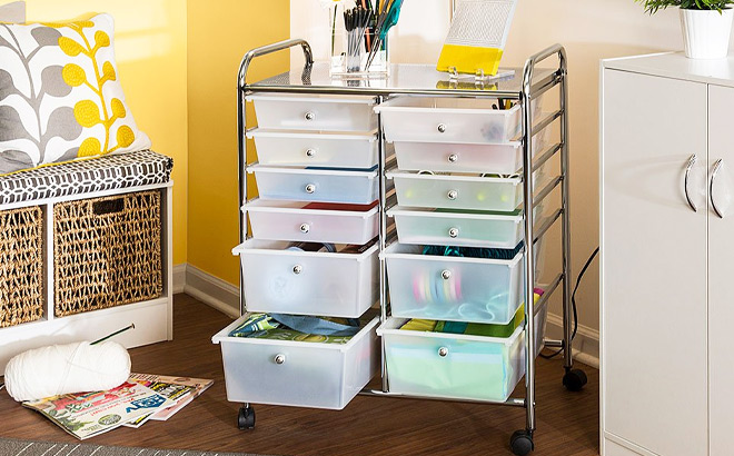 12 Drawer Rolling Cart