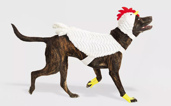 A Dog Wearing Boots Barkley Chicken Halloween Pet Costume