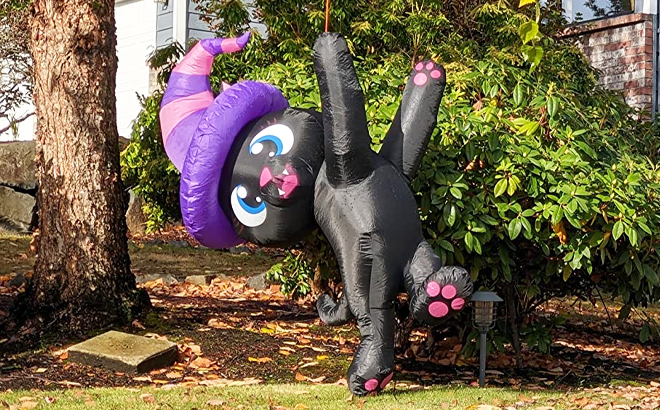 A Hanging Inflatable Wizard Cat