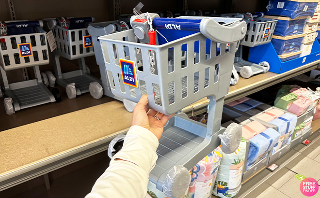 A Person is Holding Aldi Shopping Cart