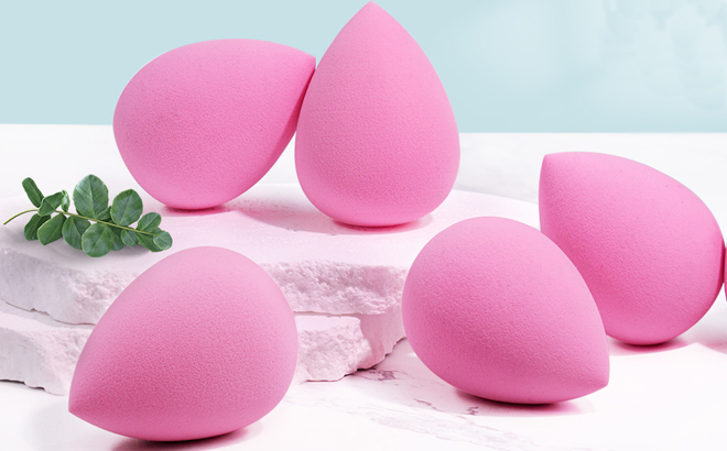 Beakey Makeup Sponge 6 Piece Set