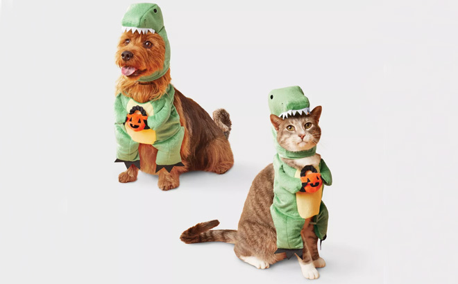Boots Barkley Dino with Pumpkin T Rex Pail Halloween Pet Costume