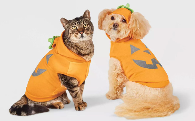 Boots Barkley Jack O Lantern Pumpkin Reflective Halloween Pet Costume