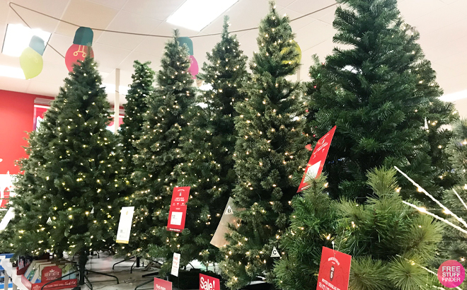 Christmas Trees on Sale at Target