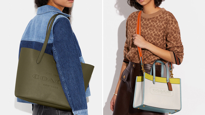 Coach Cameron Tote and Field Tote 30 In Colorblock With Coach Badge