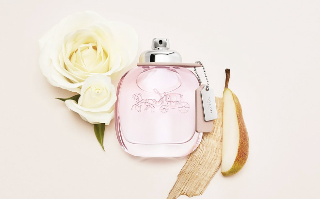 Kohls coach perfume sales