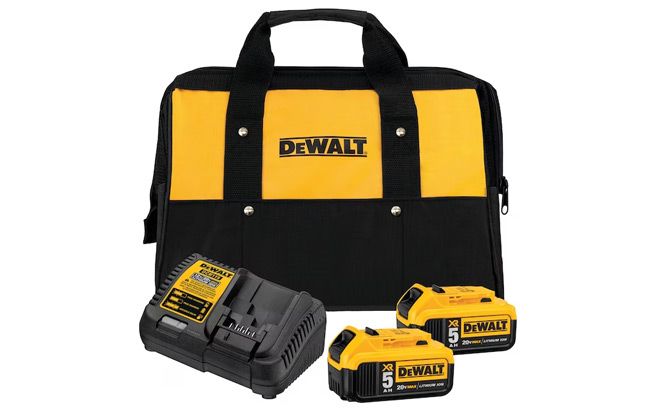Dewalt 2 Pack Lithium ion Battery and Charger with Charger