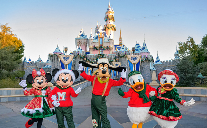 Disney Characters in Front of a Disneyland Castle