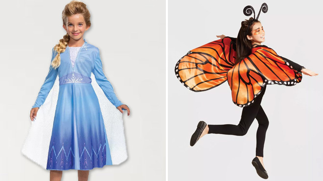 Disney Frozen Elsa Halloween Costume Dress on the Left and Monarch Butterfly Wings Halloween Costume on the Right