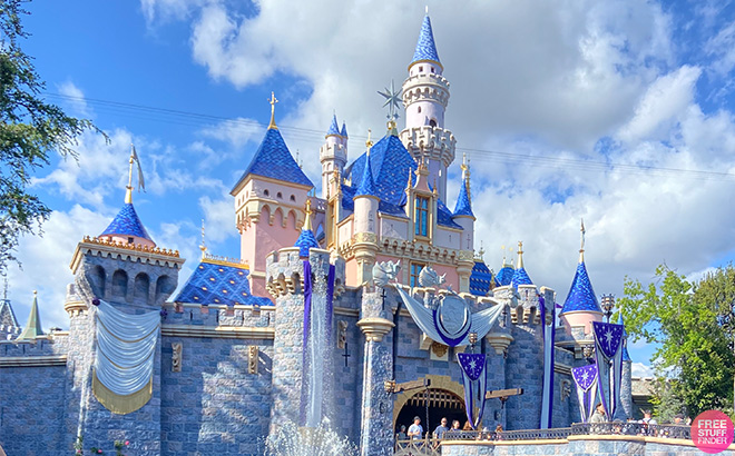 Disneyland Castle 2