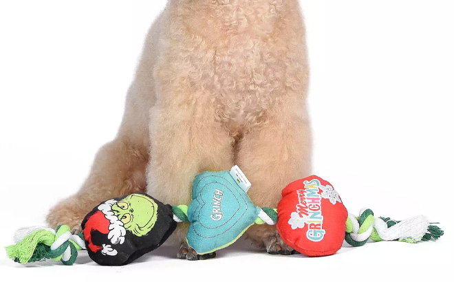 Dr Seuss Holiday Grinch Rope Dog Toy