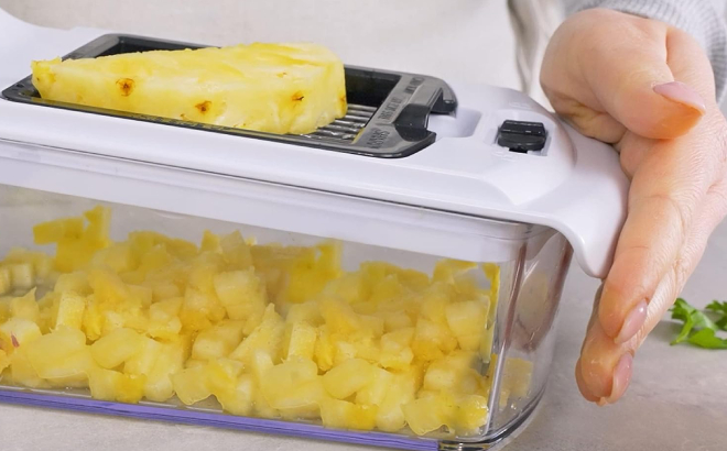 Fullstar Vegetable Chopper