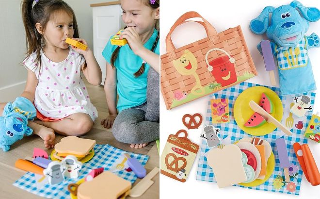 Girls are Playing with Melissa Doug Blue Picnic Play Set
