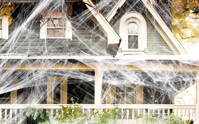 Halloween Spider Web Decoration Halloween Spider Web Decoration