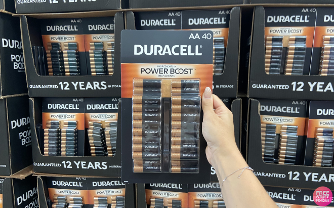 Hand Holding Duracell AA Alkaline Batteries 40 Count