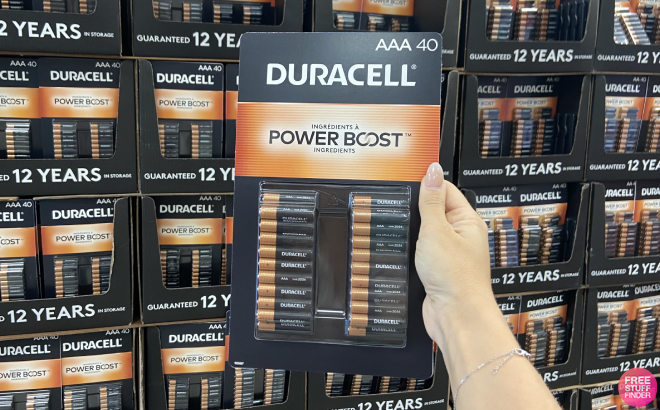 Hand Holding Duracell AAA Alkaline Batteries 40 Count