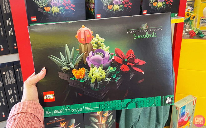 Hand Holding LEGO Succulents 771 Piece Set