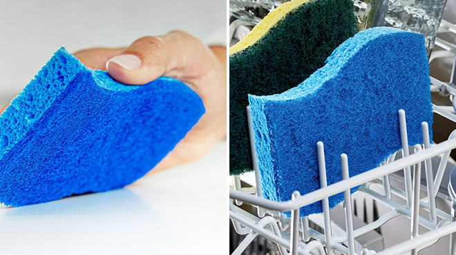Hand Holding Scotch Brite Sponge on the Left and Scotch Brite Sponge in the Dishwasher on the Right Hand Holding Scotch Brite Sponge on the Left and Scotch Brite Sponge in the Dishwasher on the Right