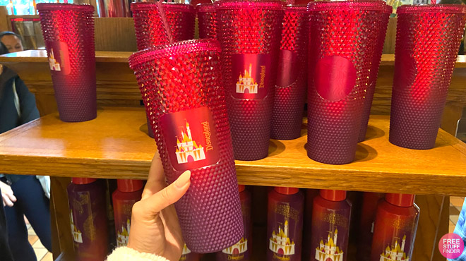 Hand Holding a Walt Disney World Geometric Starbucks Tumbler Hand Holding a Walt Disney World Geometric Starbucks Tumbler