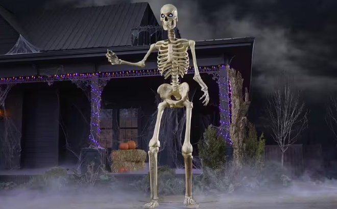 Home Accents Holiday Skelly 12 Foot