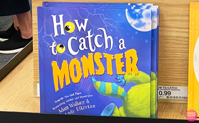 How to Catch a Monster Picture Book on Store Shelf