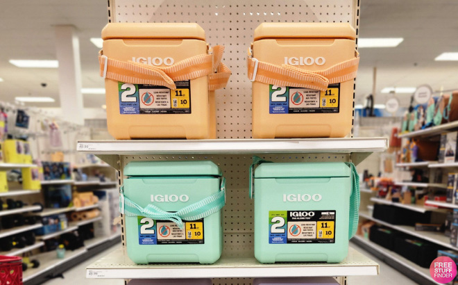 Igloo Coolers at Target