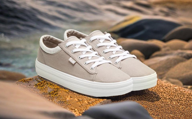 Jcpenney keds hot sale womens shoes
