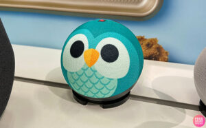 Kids Echo Dot 5th Gen 2022 release