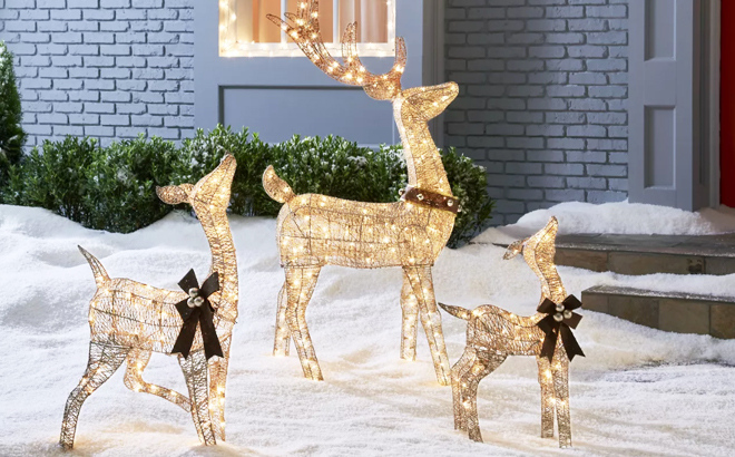 Light Up Chrismas Doe and Fawns at Big Lots