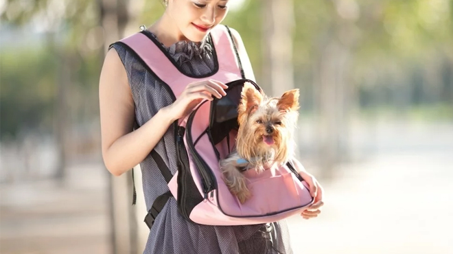 MKF Doggyboo Front Pet Carrier for Small Dogs Cats in Pink