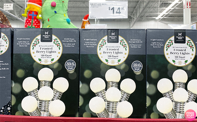 Members Mark 120 LED Frosted Berry Lights on a Shelf at Sams Club