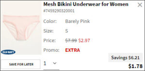 Mesh Bikini Womens Underwear at Checkout Mesh Bikini Womens Underwear at Checkout