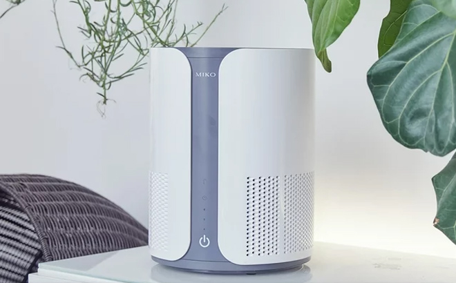 Miko Home Air Purifier on a Table Miko Home Air Purifier on a Table