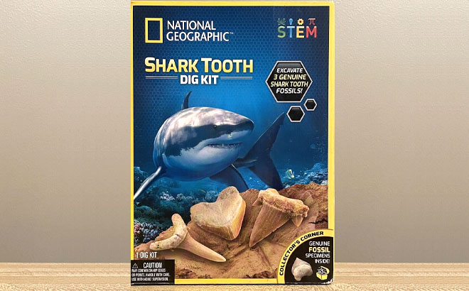 National Geographic Shark Tooth Dig Kit on a Table