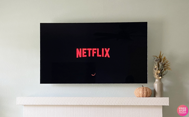 Netflix Loading on Television