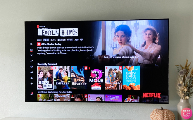 Netflix Movies Flashed on Telvision