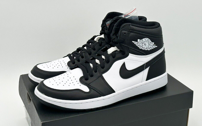 Nike Air Jordan Black and White Mens Shoes