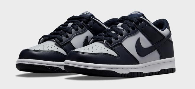 Nike Dunk Low Big Kids Shoes