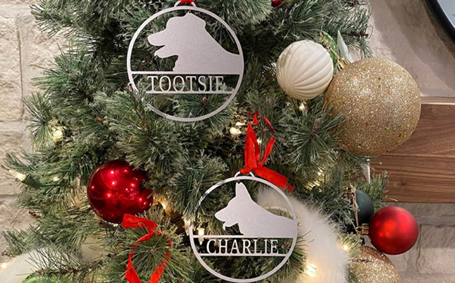 Personalized Pet Ornament Set Of 2