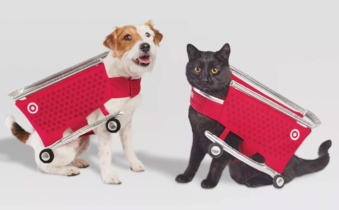 Pets Wearing Boots Barkley Target Shopping Cart Halloween Costume