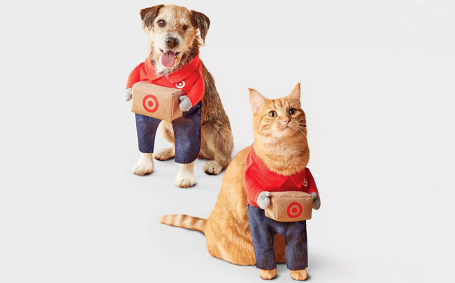 Pets Wearing Boots Barkley Target Team Member Halloween Costume