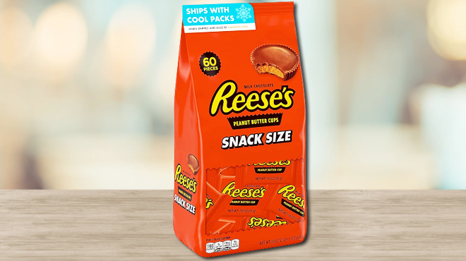 Reeses Peanut Butter Snack Size Cups 60 pc