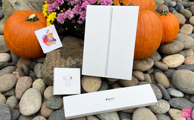Several Apple Devices in Boxes on Rocks with Pumpkins in the Background